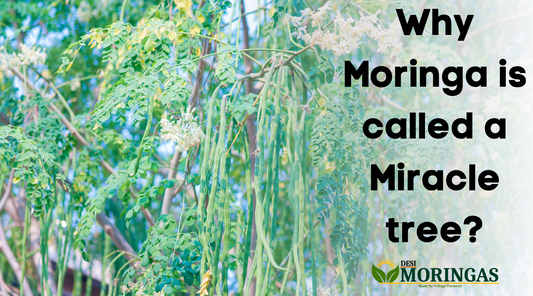 Why Moringa is called a Miracle tree?