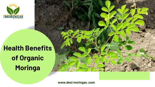 Health benefits of organic moringa