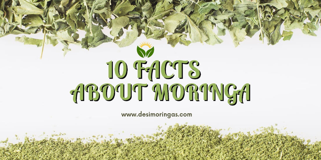 10 FACTS ABOUT MORINGA