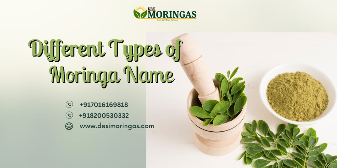 What is Moringa and Its Different Types of Moringa Names