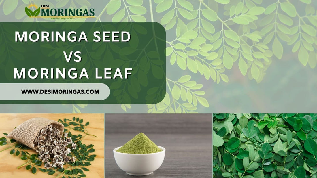 Moringa Seed vs Moringa Leaf