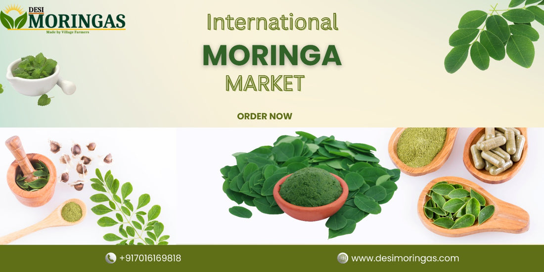 Exploring The Growing International Moringa Market