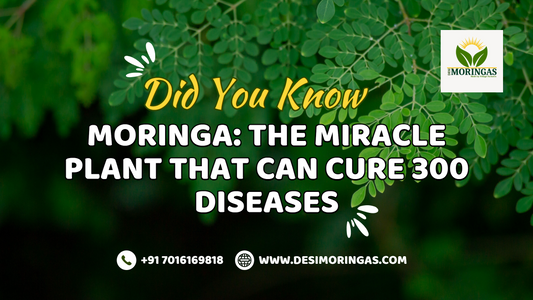 Moringa: The Miracle Plant That Can Cure 300 Diseases