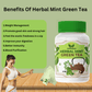 Enjoy the Refreshing Flavor of Desi Moringas Herbal Mint Green Tea Bag (20 Sachet)