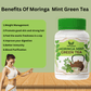 Organic Moringa Green-Mint Tea, Weight Loss, Farm Fresh Herbal Detox-Tea